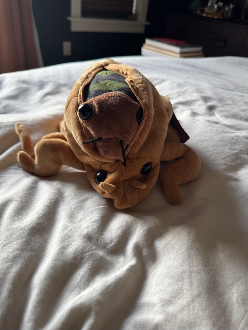 Cicada plushie - Picture 5 of 7